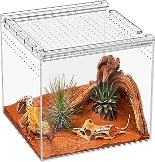 KAKOOTI Reptile Terrarium,6.8" x 6.8"x 6" Reptile Breeding Box, Magnetic Acrylic Enclosure，for Tarantula，Hermit Crab，Jumping Spider，Iguana，Leopard Gecko，Bearded Dragon, Insect, Mantis, Scorpions.