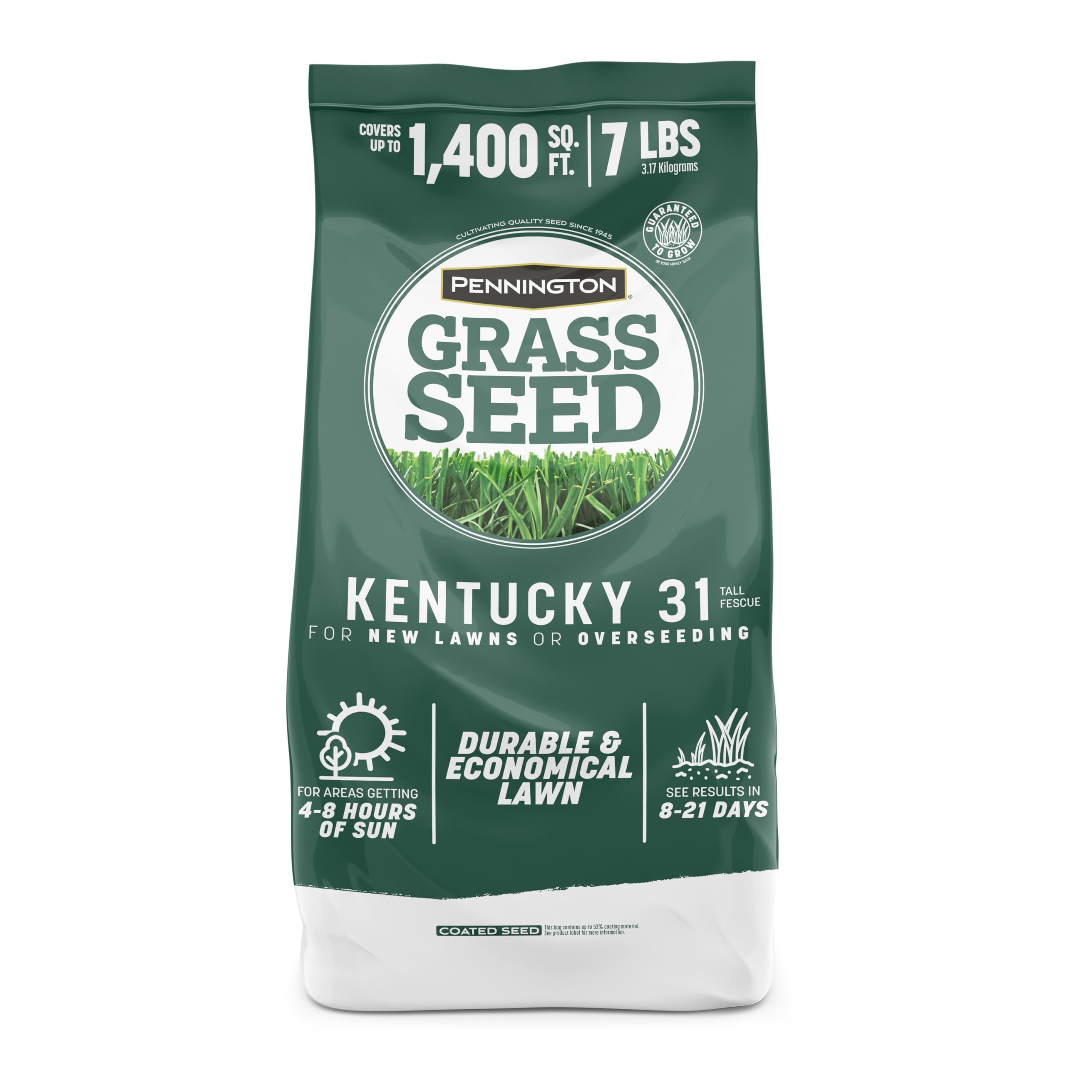 Pennington Kentucky 31 Tall Fescue Grass Seed, Drought-Resistant, 7 LB | Full Su