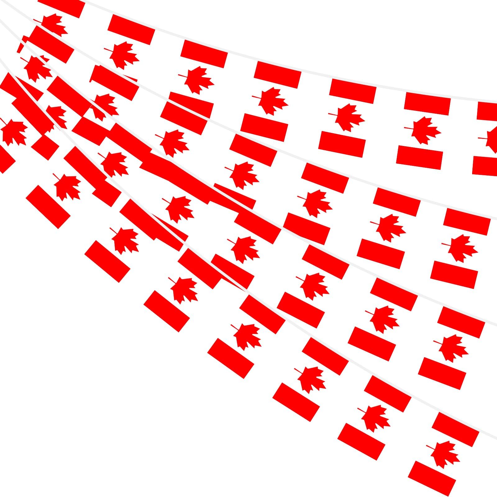 AhfuLife 33 Ft Canada Small Flags Banner for World Cup Decoration 2026, 30 Pcs M
