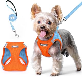 rabbitgoo Small Dog Harness and Lead Set, Step-in Soft Mesh Puppy Harness