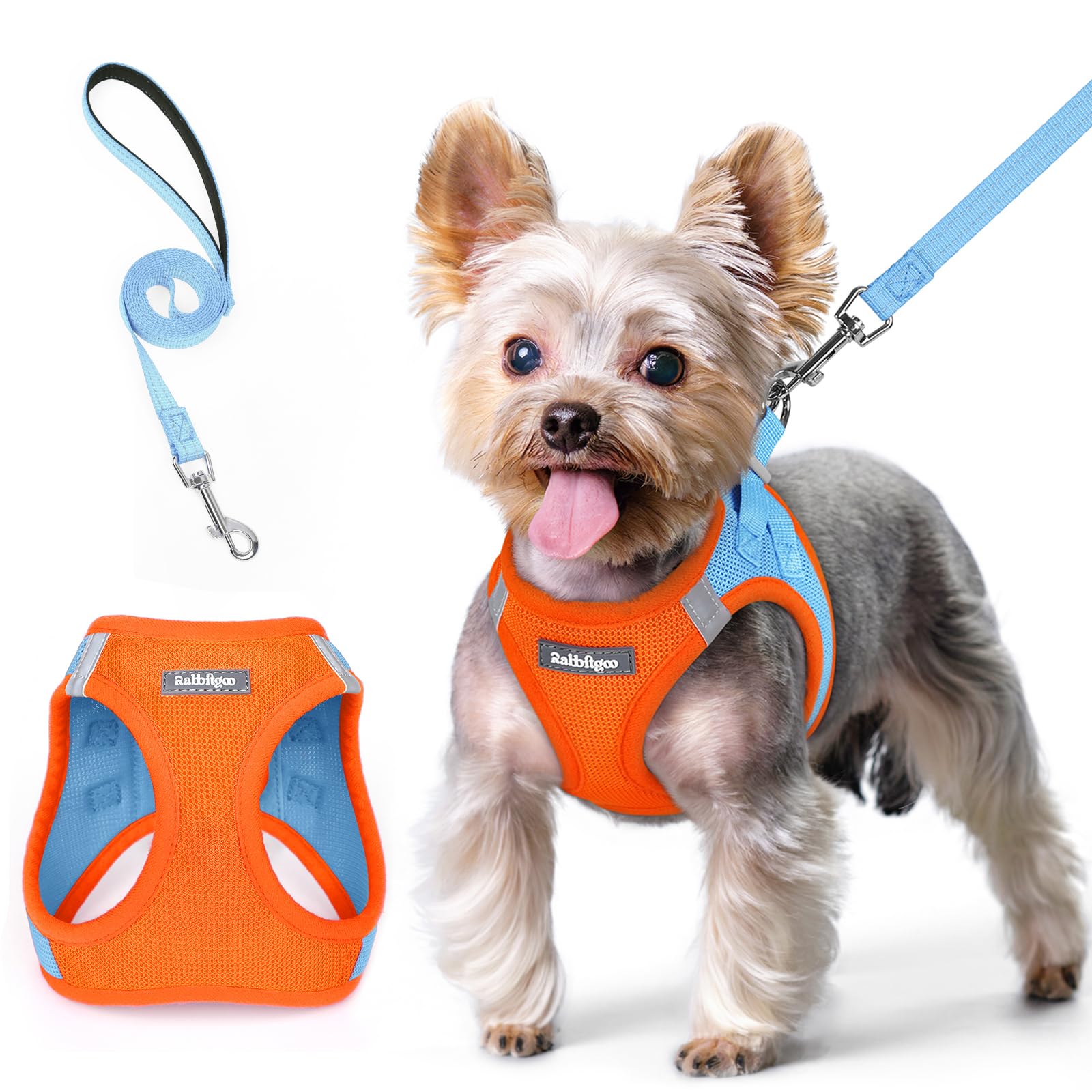 rabbitgoo Small Dog Harness and Lead Set, Step-in Soft Mesh Puppy Harness
