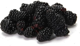 Blackberries, 6 oz