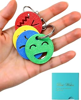 3Lcat Emotional Regulation Keychain, 4 Colour-Coded Mood Zones | Helps kids identify & express feelings. Visual learning tool for teachers, parents. Non-verbal communication aid for therapy