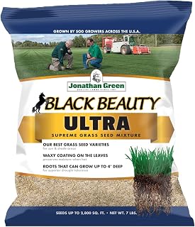 Jonathan Green Black Beauty Ultra Grass Seed - 7 lb | Grass Seeds, Lawn Seeds, Sun And Shade Grass Seeds, All Grasses, 7 lb Bag, 2800 sq-ft