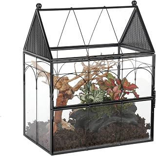 NCYP Glass Enclosure with Vent Holes for Jumping Spiders, 7.5" x 4.9" x 9" Small Closed Front Opening Door Terarium - House Shape Habitat, Home Decor Black (No Plants)