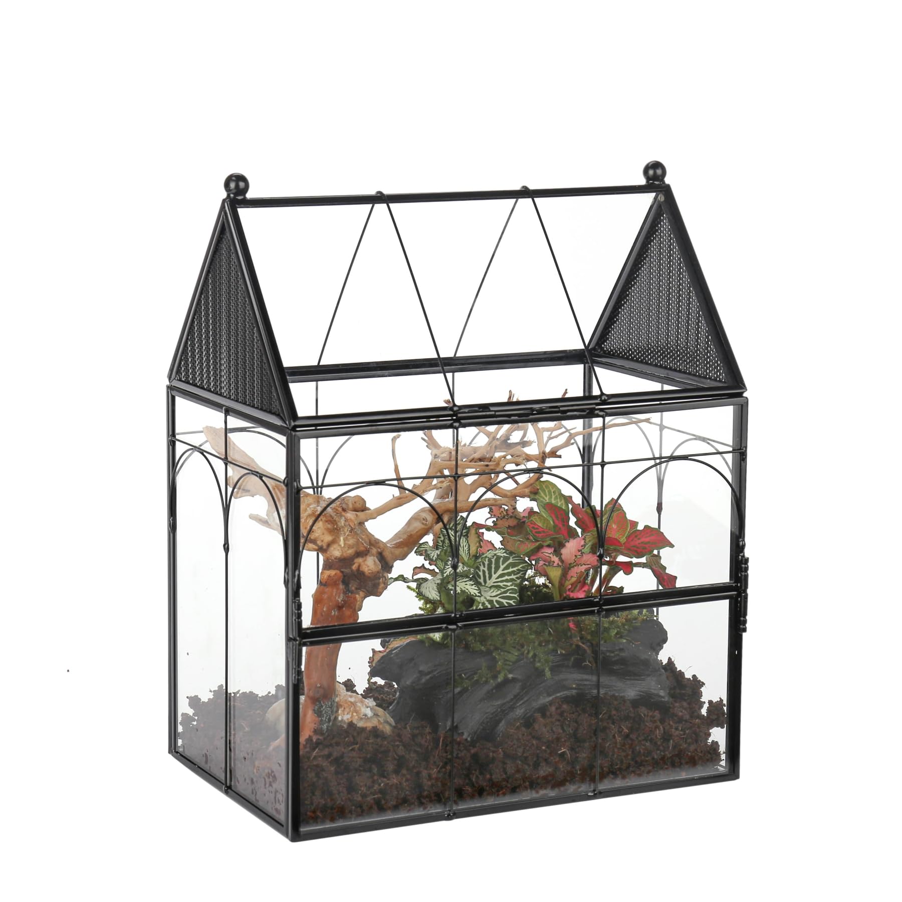 NCYP Glass Enclosure with Vent Holes for Jumping Spiders, 7.5" x 4.9" x 9" Small