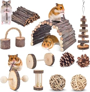 ERKOON 11 Pack Chinchillas Chew Toys, Toys Accessories for Teeth Care, Natural Apple Wood Ladder Bell Roller for Russian Hamster Gerbils Rats Guinea Pigs
