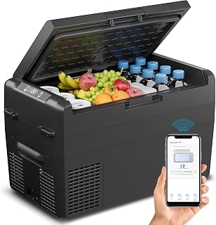 Feelfunn 12V Refrigerator 27QT Portable Freezer Electric Cooler Black | APP Control, Fast Cooling 15-Mins, -4℉~68℉ Portable Fridge 12/24V DC & 110-240V AC for Truck, RV, Van, Camping & Road Trip