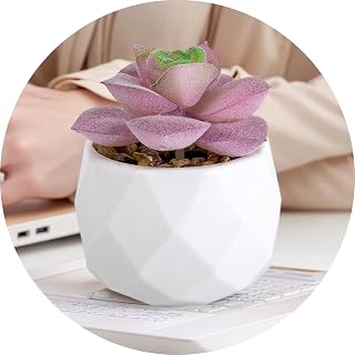 Lifelike Artificial Succulent Plants in Plastic Pots for Bedroom Bathroom Office Shelf (Purple Green)