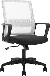FDW Home Office Chair Ergonomic Desk with Lumbar Support Armrests Mid-Back Mesh Computer Executive Adjustable Rolling Swivel Task (White)
