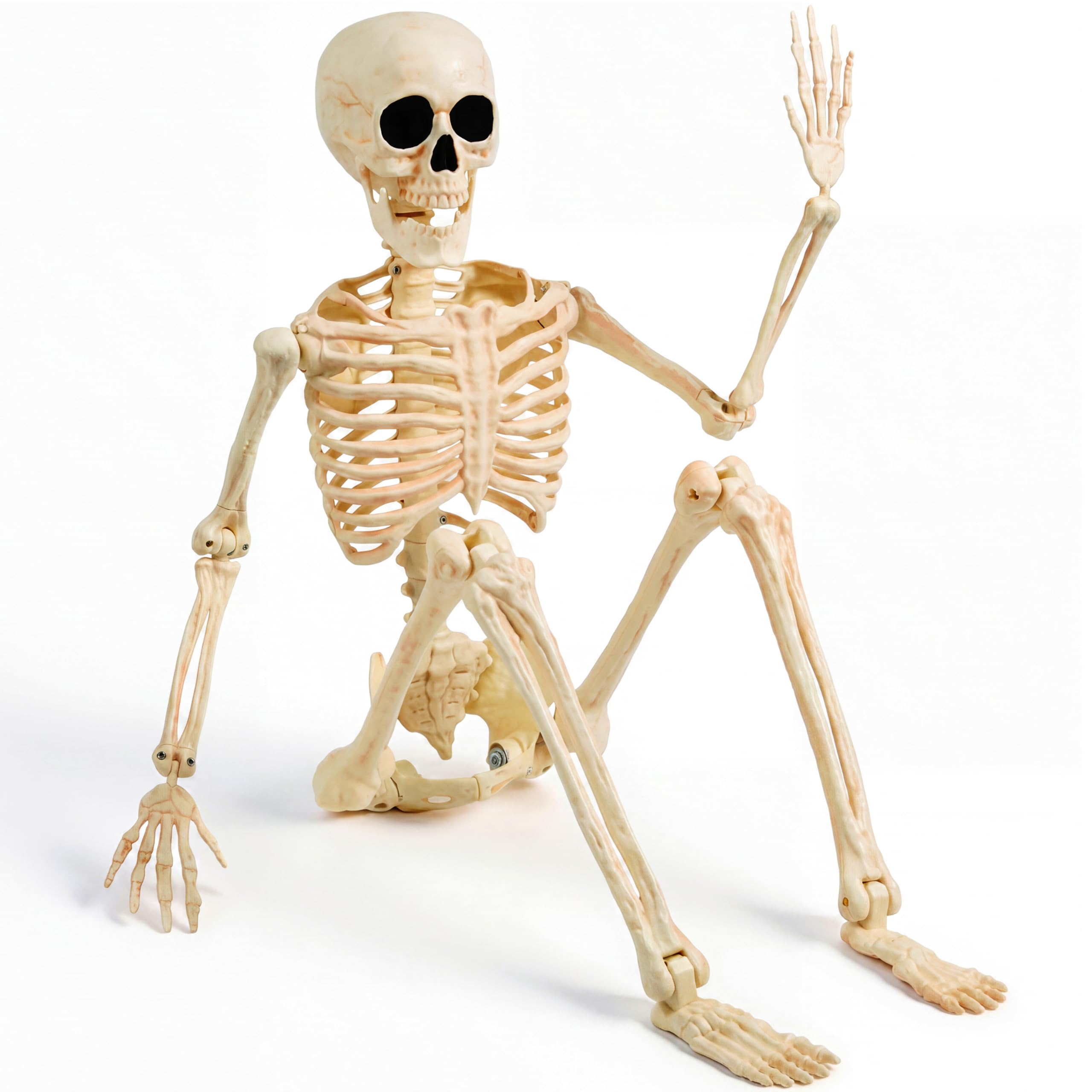 JOYIN 36" Halloween Skeleton Decor, 3FT Full Body Realistic Bones with Stayable 