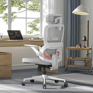 SIHOO B100SE Sedia Ufficio Ergonomica, Sedia Scrivania con Supporto Lombare