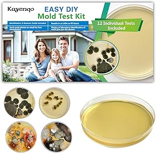 Mold Test Kit for Home - 12 Simple Detection Tests,Test HVAC System,Home Surfaces,& Indoor Air Quality Testing Kits,DIY Mold Detector at Home,Includes Detailed Mold Identification Guide,air Tester