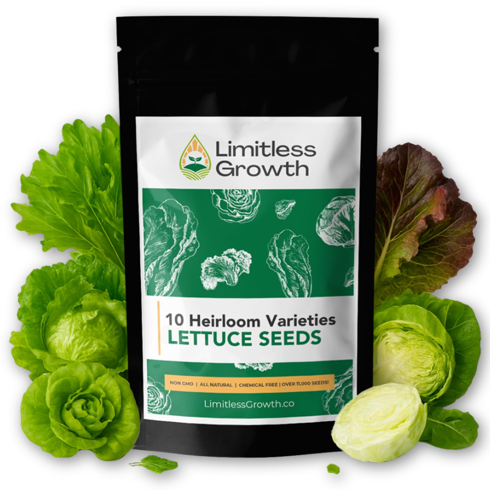 Lettuce Heirloom Varieties Seed Pack | 10 Varieties of Lettuce Seeds for Plantin