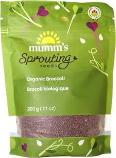 Organic Broccoli (Brocoli) Sprouting Seeds, Mumm's, Large Size - 200 Grams, Non-GMO - High Germination Rate - Resealable Bag