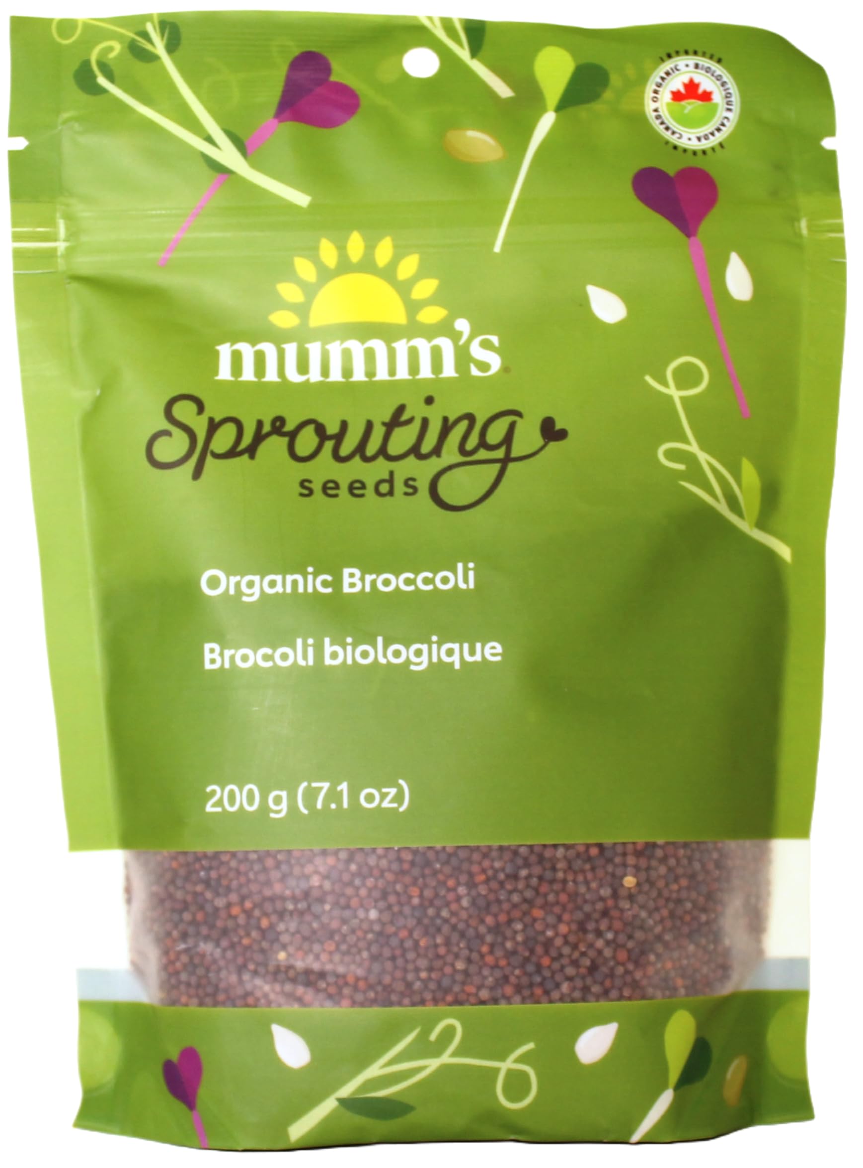 Organic Broccoli (Brocoli) Sprouting Seeds, Mumm's, Large Size - 200 Grams, Non-