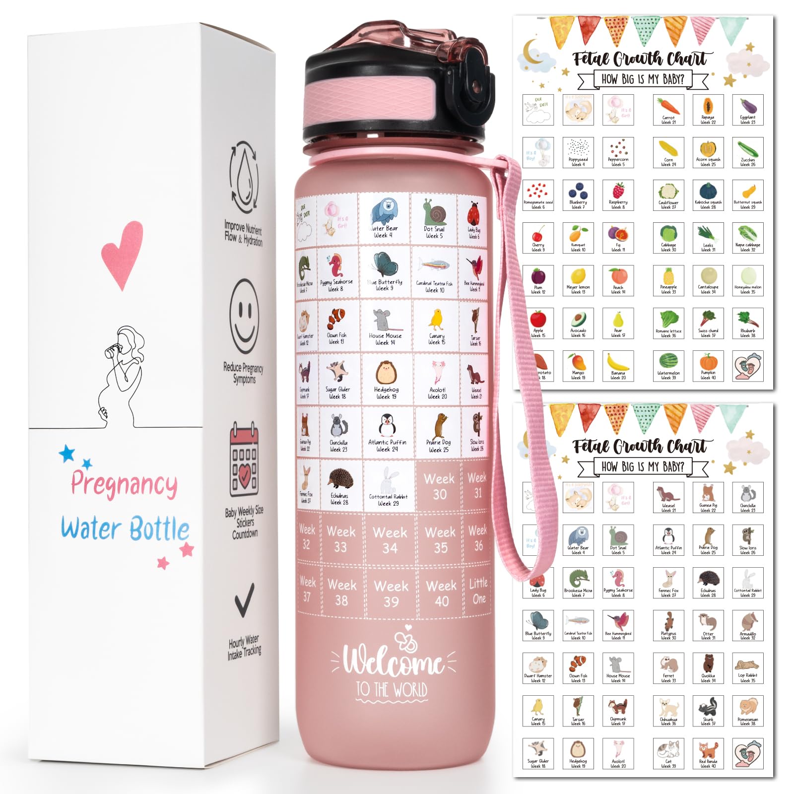 Pregnancy Water Bottle Tracker (Pink), with 2 Different Weekly Stickers | 1st Tr