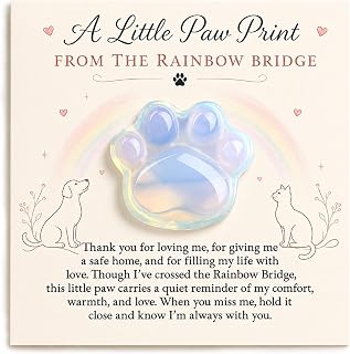 LIMGUVK Pet Loss Sympathy Gift, Opalite Paw with Rainbow Bridge Card, in Loving Memory Keepsake, Pet Bereavement Comfort Gift, Pocket Hug for Dog Cat Loss & Grief Support for Pet Owners