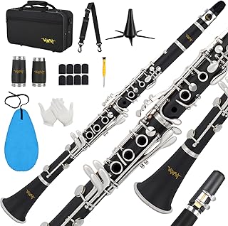 VANPHY Bb Clarinet 17 Keys Flat B Clarinet for Beginners & Students Black | with Case,Stand,Strap,2 Barrels,8 Mouthpiece Cushion and White Gloves