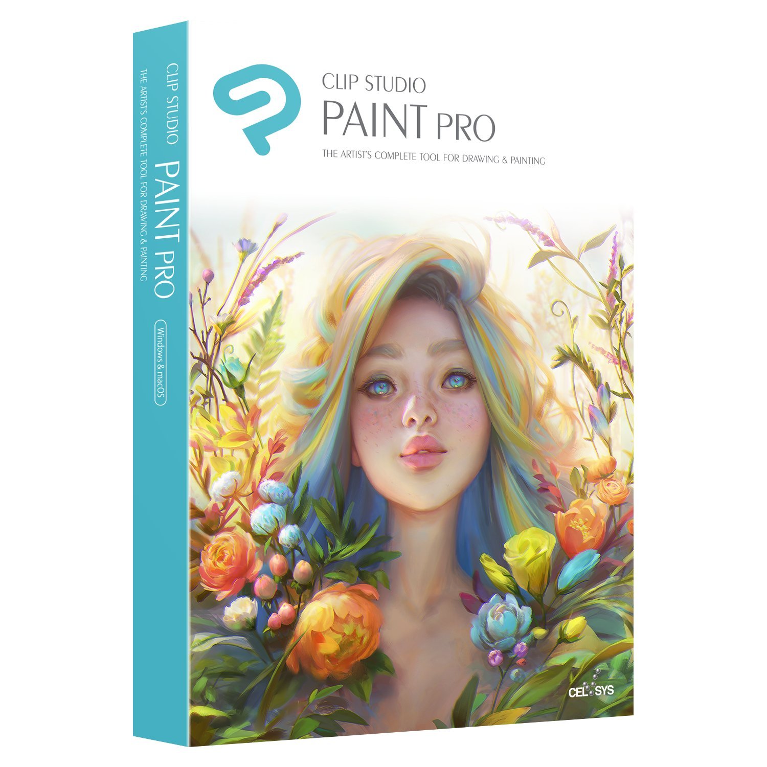 CLIP STUDIO PAINT PRO - Version 1 - Perpetual License - for Microsoft Windows an