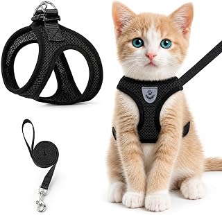 Cat Harness and Leash Set Adjustable Escape Proof Soft Mesh Breathable Lightweight Easy Control Safety Buckles for Small Cats