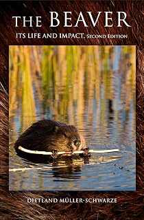 The Beaver: Natural History of a Wetlands Engineer