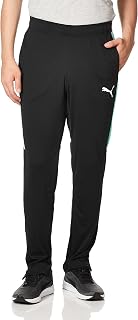 Puma Men's Speed Pant Pants