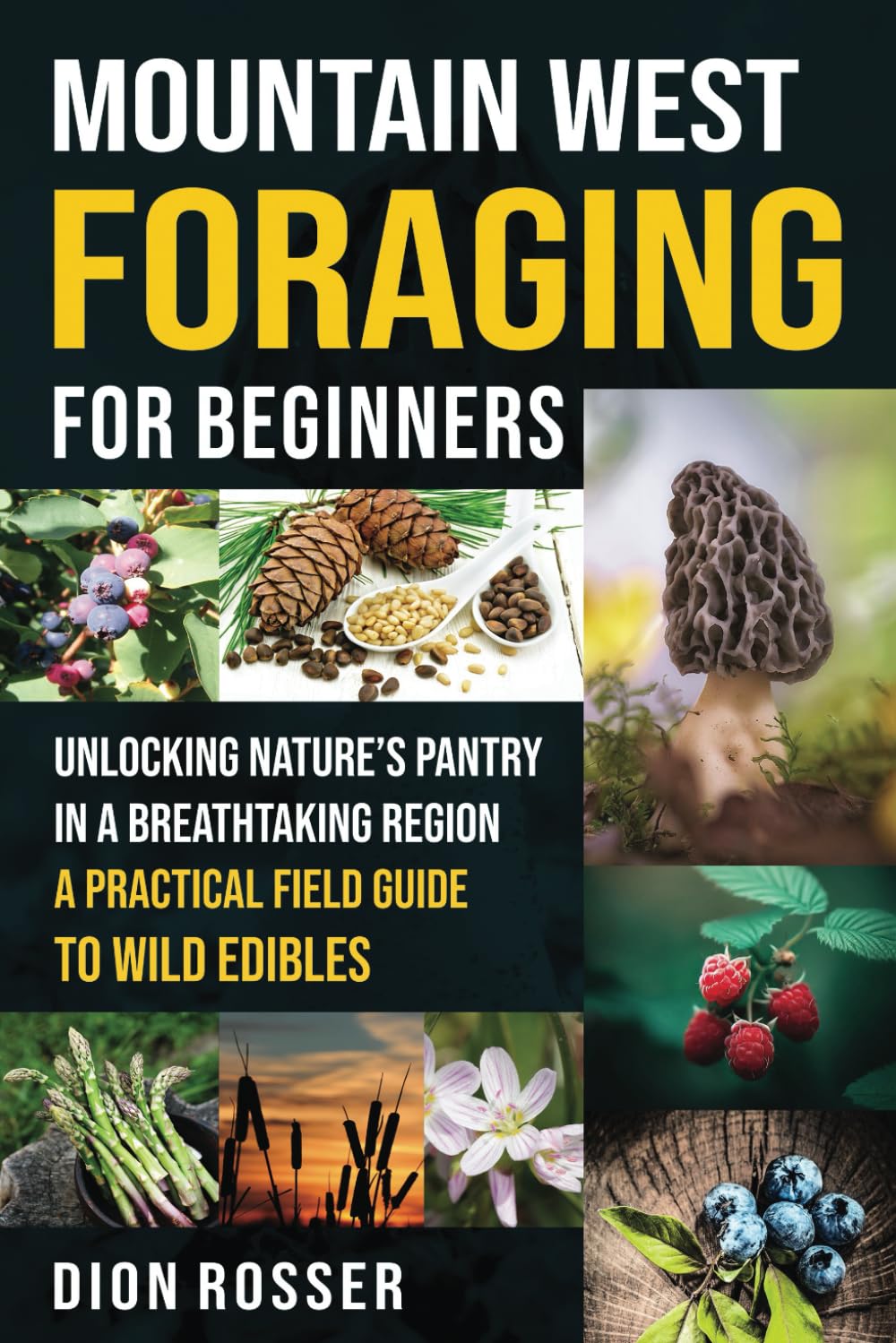 Mountain West Foraging for Beginners: Unlocking Nature’s Pantry in a Breathtakin