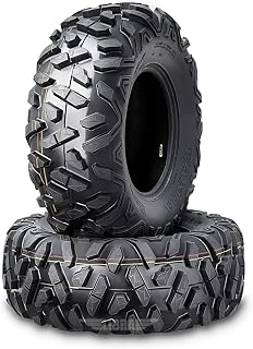 WANDA ATV UTV Tires 25X8-12 25X8X12 6PR P3501,Set 2 10375