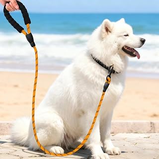 59" Dog Leash Rope for Walking Training, Durable Pet Leash with Comfortable Padded Handle, Tangle-free Design for Small Medium Large Dogs