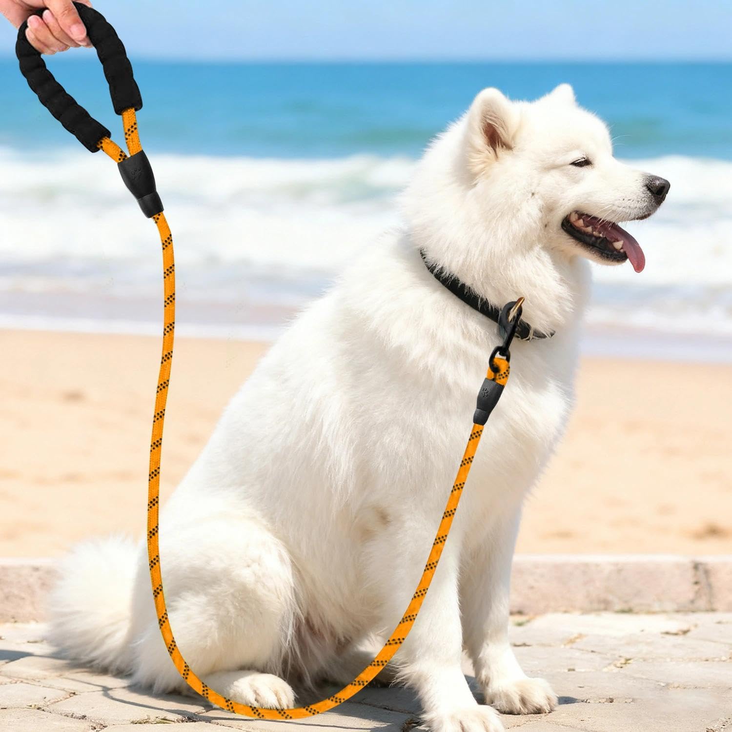 59" Dog Leash Rope for Walking Training, Durable Pet Leash with Comfortable Padd