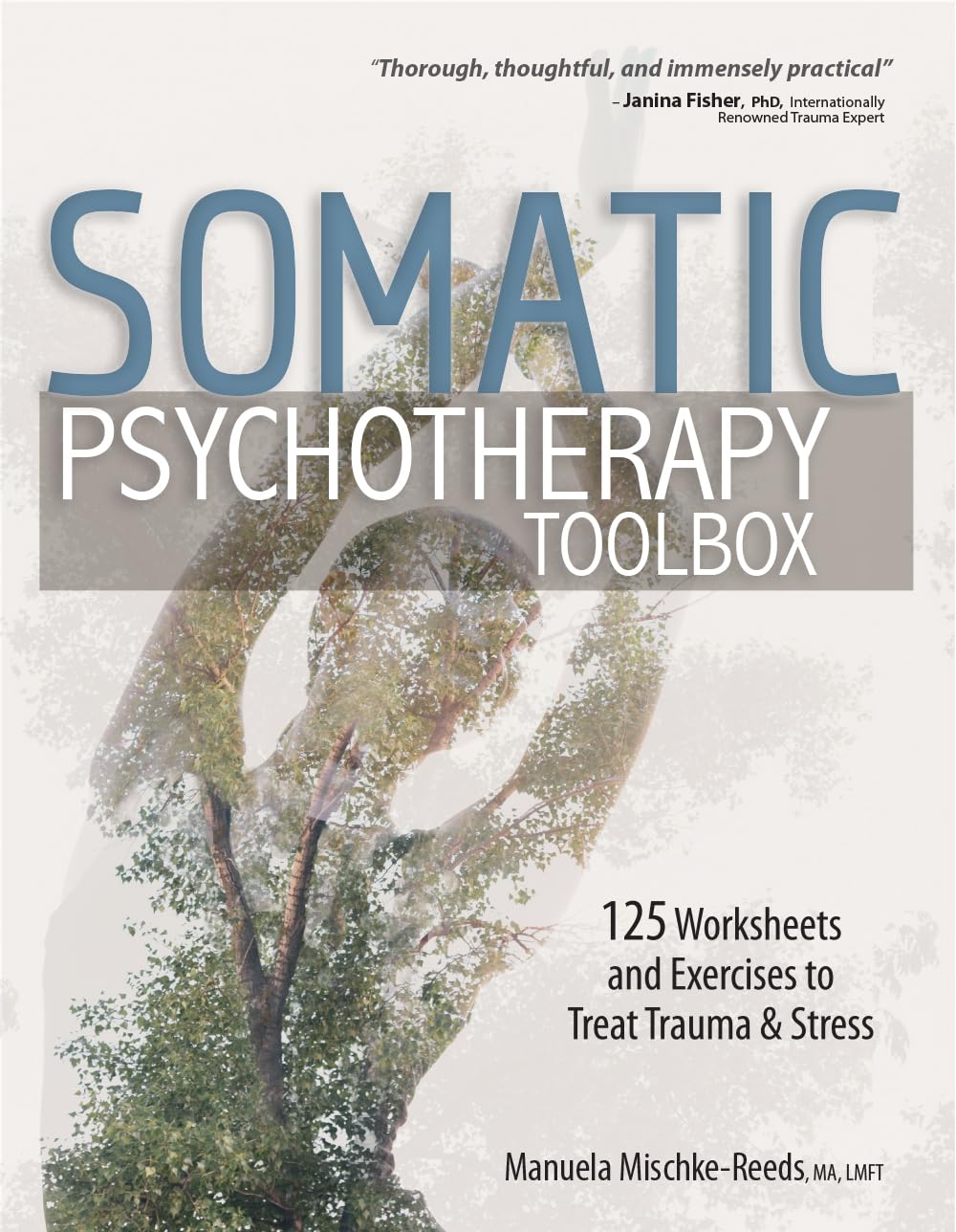 Somatic Psychotherapy Toolbox: 125 Worksheets and Exercises to Treat Trauma & St