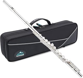 EastRock Closed Hole Flutes C 16 Key for Beginner, Kids, Student Silver Nickel Flute with Case Stand and Cleaning kit