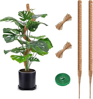 Moss Pole,2 Pack 30 Inches Bendable Plant Support with Coco Coir,Handmade Plant Sticks Support to Train Indoor Plants to Grow Upwards,Plant Support Stakes for Climbing Plants Growth