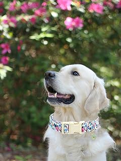 Dog Collar Flower Print Dog Collar Spring Summer Cute Collar for Dogs Girls or Boys Soft Durable Adjustable Dog Collar for Small Dogs Pet Gift