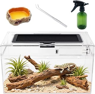 Reptile Growth Mini Reptile Terrarium Set, 30 x 18 x 15 cm Low Reptile Tank with Full View Visually Appealing，for Insect，Fish，Tarantula，Hermit Crab，Jumping Spider，Leopard Gecko,Bearded Dragon