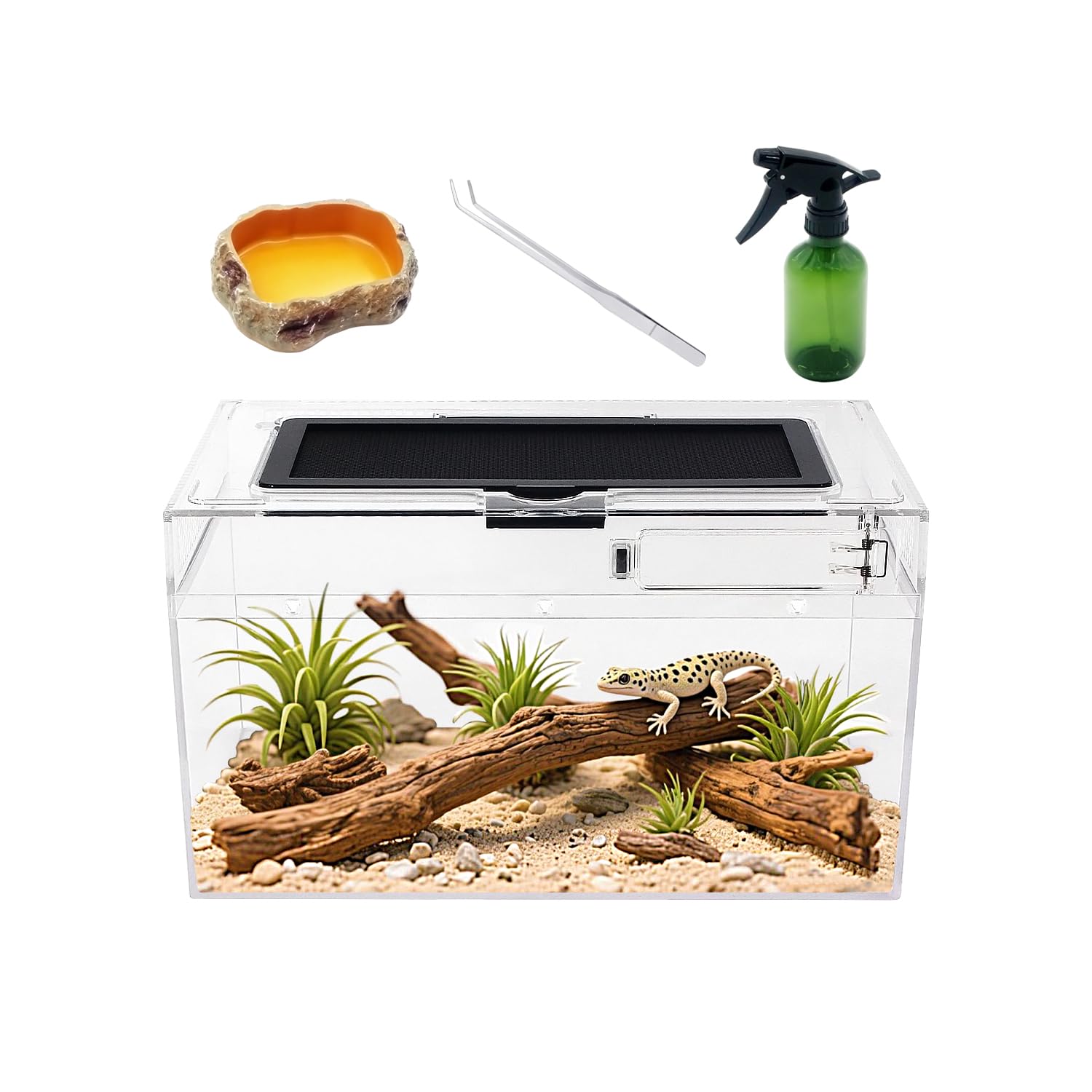 Reptile Growth Mini Reptile Terrarium Set, 30 x 18 x 15 cm Low Reptile Tank with