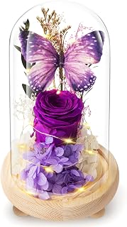 Forever Flowers Preserved Roses Prime Delivery, with Light in Glass Dome for Mom Grandma Wife Girlfriend, Purple Flower for Mother's Day, Valentine's Day, Anniversary, Birthday