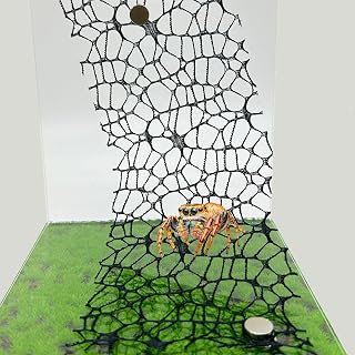 Heyshapeing 6 PCS Jumping Spider Habitat Accessories （3 Black + 3 White - Jumping Spider Webbed Moss Ribbon with Magnets for Enhanced Enclosure and Climbing Experience (Terrarium Not Included)