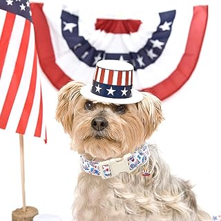 American Flag Dog Collar, 4th of July - Patriotic Independence - Heavy Duty Adjustable Collar for Large Dogs Summer Gifts