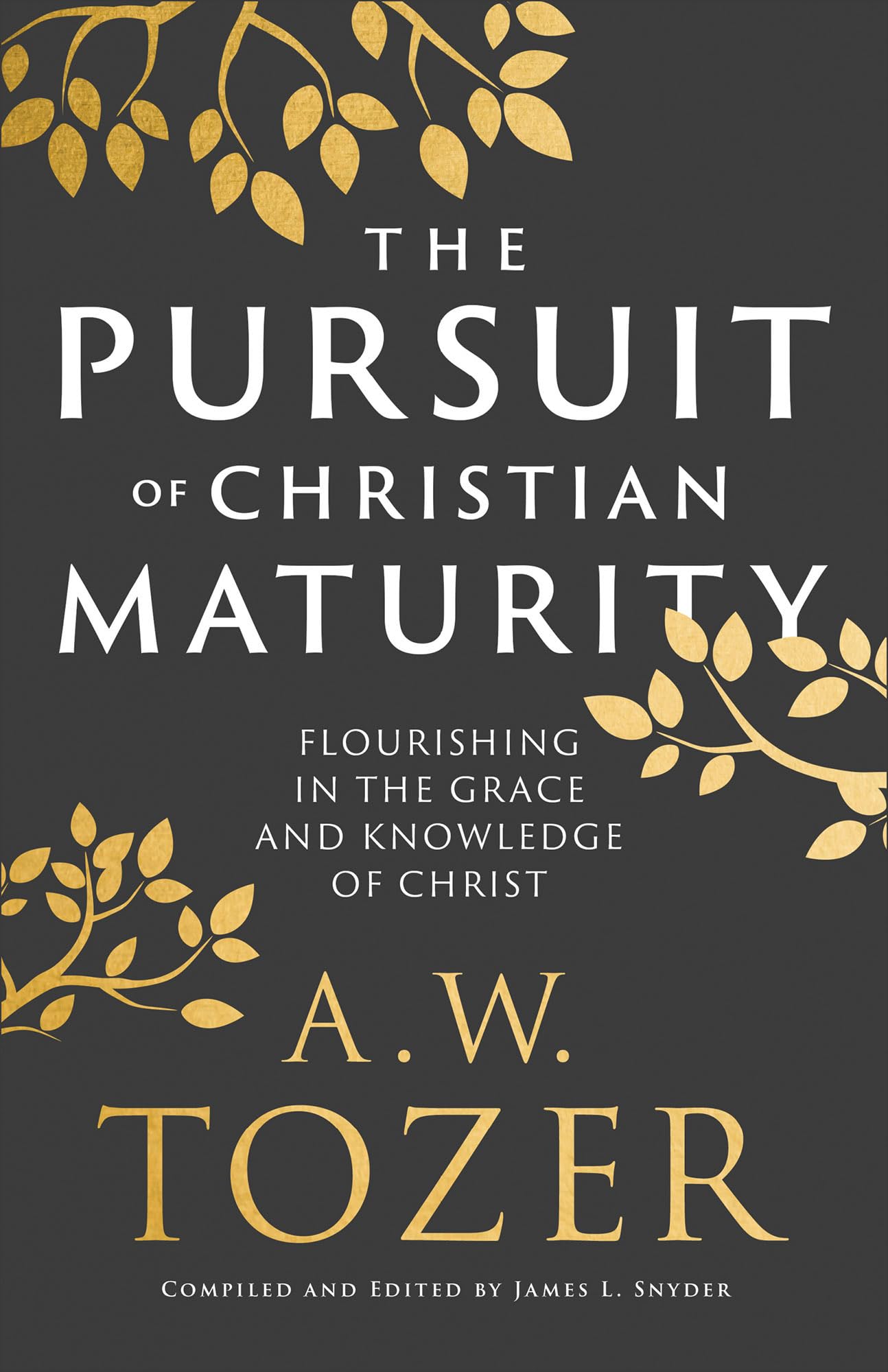 The Pursuit of Christian Maturity: Flourishing in the Grace and Knowledge of Chr