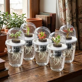 Hydroponic Plant Pots Self-Watering Plant Pots with Transparent Design, Indoor Plant Pot for Visual Root Growth, Garden Decoration, Home and Office Decor