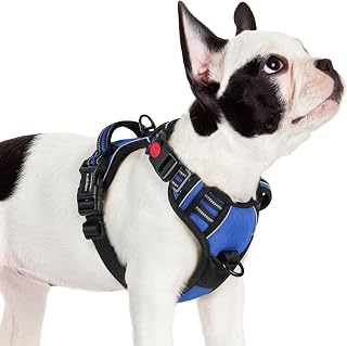 rabbitgoo Small Dog Harness with 3 Buckles, Neck Release, Adjustable Dog