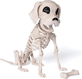 JOYIN Posable Halloween Dog Skeleton Full Body Posable Joints Skeleton Puppy for Indoor Outdoor Skeleton Decorations Graveyard Party Haunted House Party Decor(9.8” X 4.7” X 12.6”)