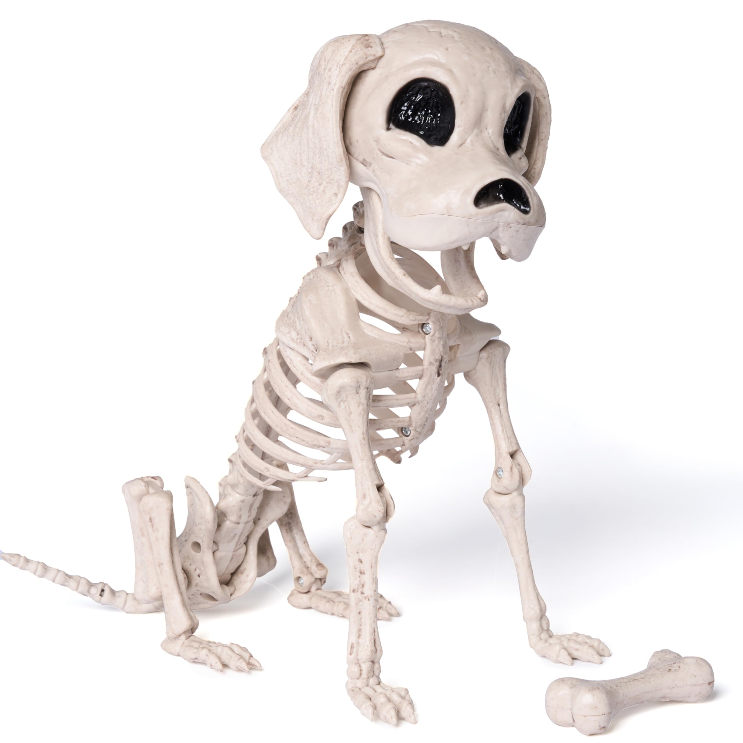 JOYIN Posable Halloween Dog Skeleton Full Body Posable Joints Skeleton Puppy for