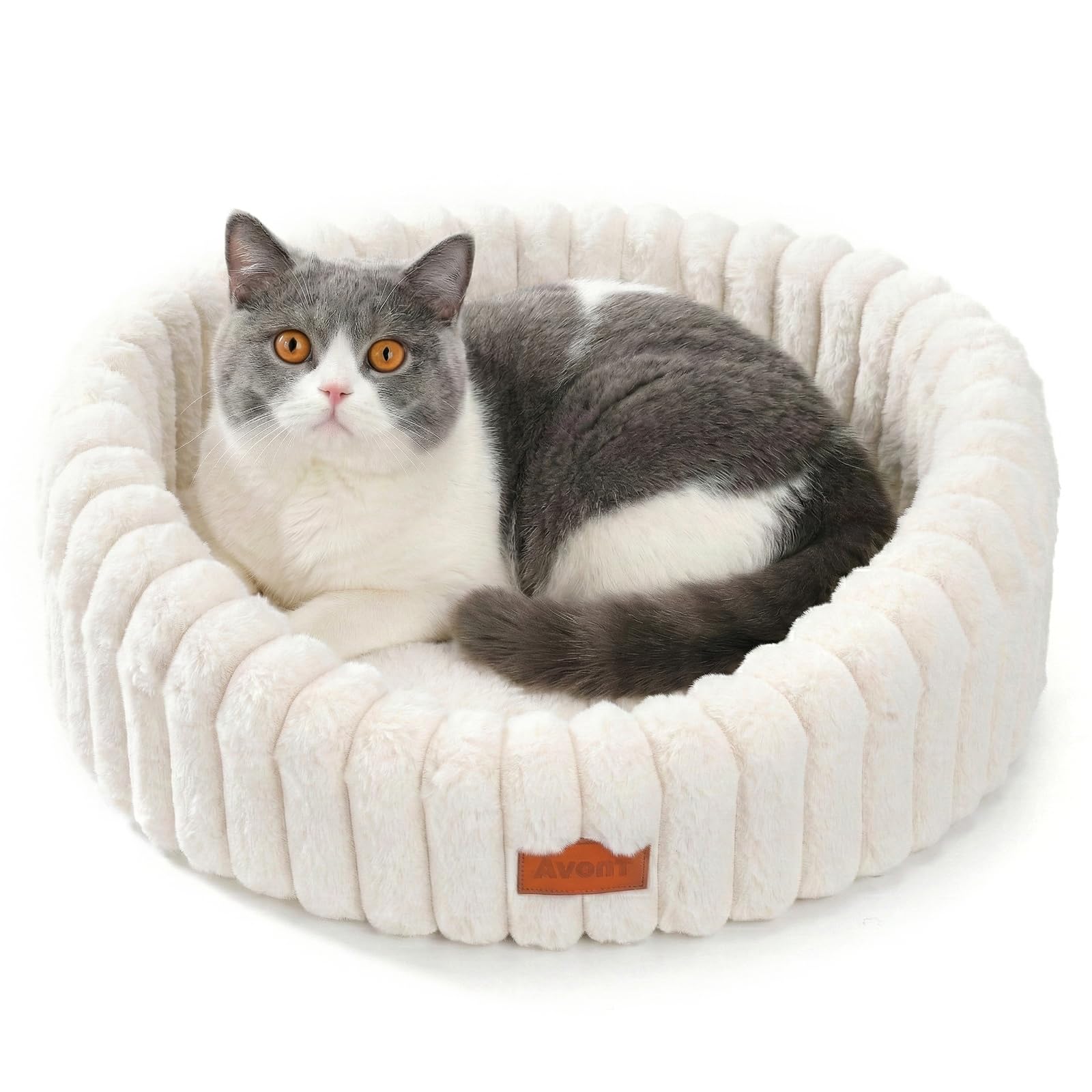 Avont Fluffy Cozy Cat Bed for Cats & Small Dogs -Cream(S)