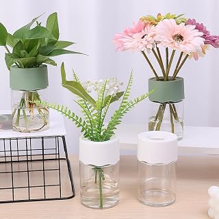 Mini Transparent Hydroponic Flowerpot Cylinder Self Watering Planter Home Office Tabletop Mini Flowerpot 1pcs, Green, 12x7x7cm