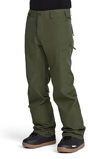 Volcom Frickin Modern Men's Shorts