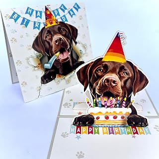 Chocolate Labrador Retriever Birthday Card 3D Pop Up — Chocolate Lab with Party Hat & Birthday Cake, Funny Birthday Card for Chocolate Lab Lovers, Choc Lab Mom Dad Gift, 6x6 Inch, Includes Envelope