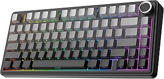 EPOMAKER AULA F75 Wireless Mechanical Gaming Keyboard, 75% Layout with Knob | Creamy Gasekt-Mount with Sound-Dampening, RGB, Hot-Swap, BT/2.4Ghz (Black Gradient, LEOBOG Reaper Switch)